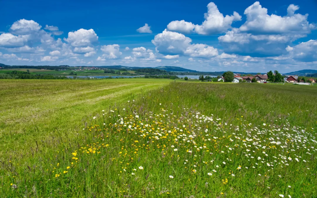 5. Juni 2024 – Seekirchen-Voggenberg